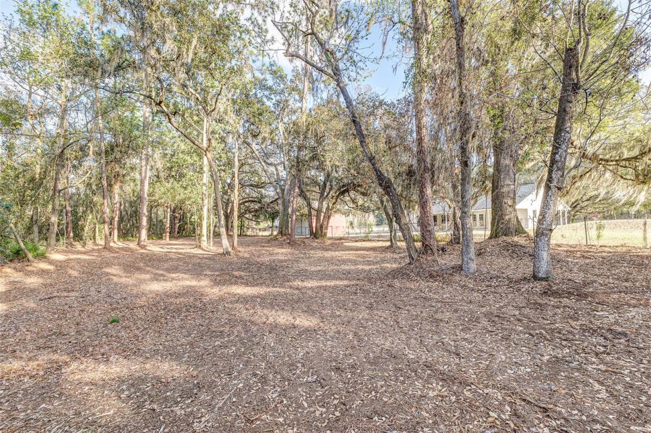 3115 W 10th Street , Lakeland, FL 33810 Photo