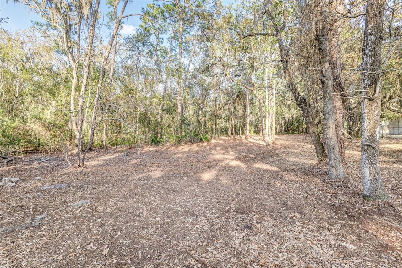 3115 W 10th Street , Lakeland, FL 33810 Photo