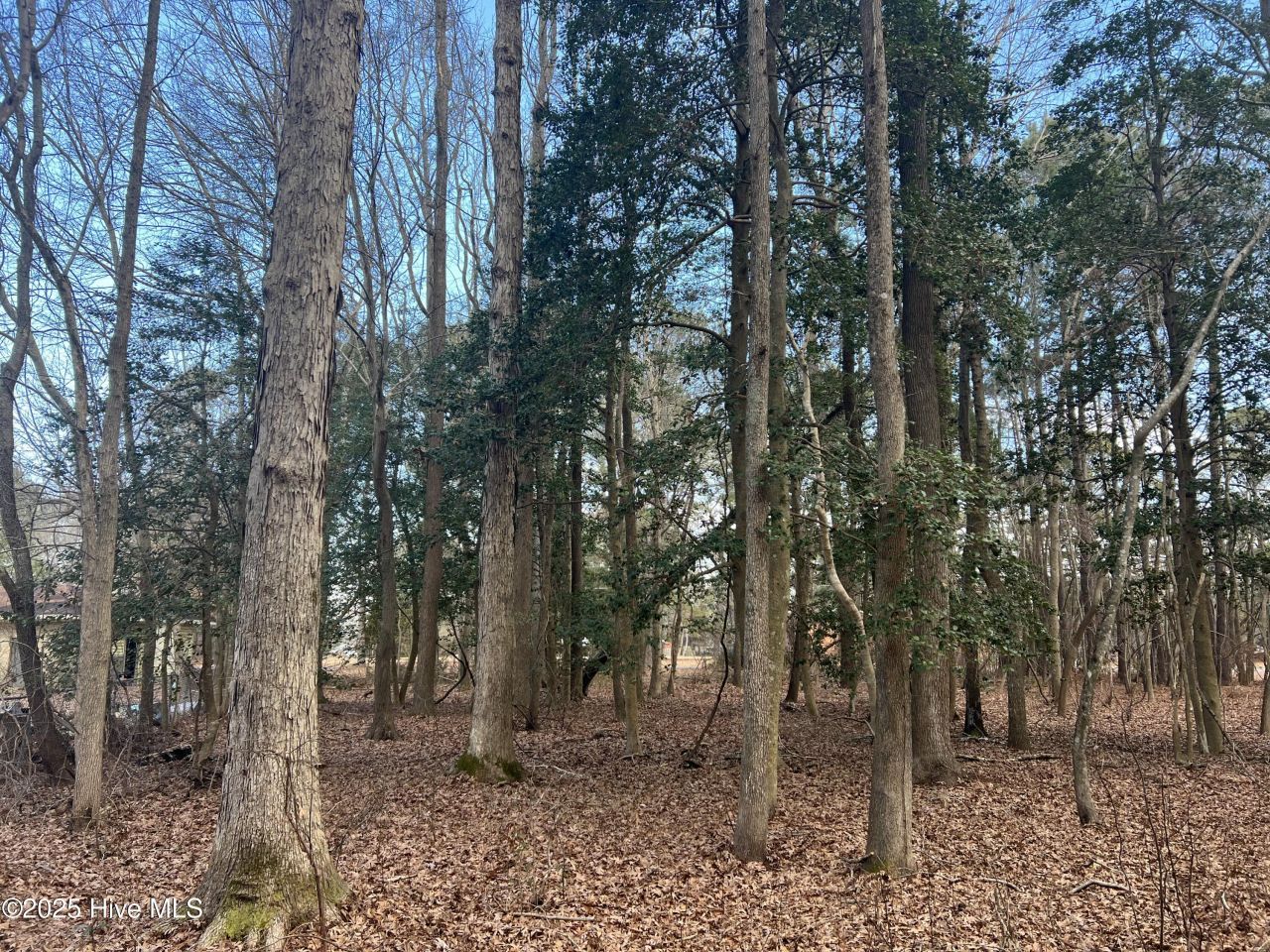 0 Bridgersville Road, Macclesfield, NC 27852 Main Photo