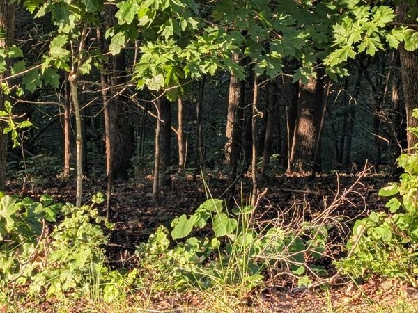 Tonto Drive, Cherokee Village, AR 72529