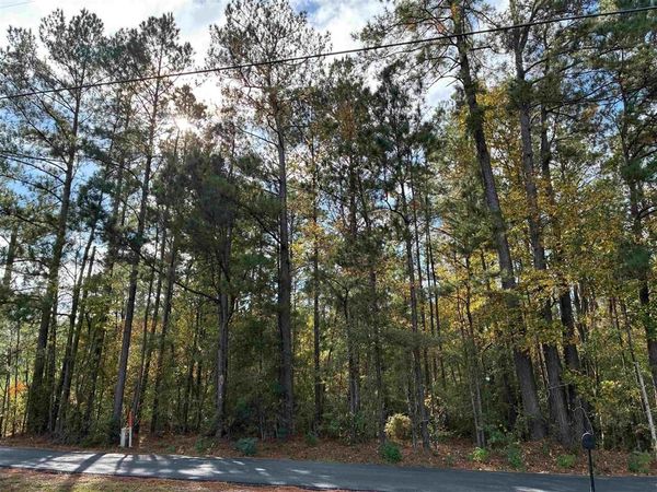 TBD Section Line Road , Leesville, LA 71446