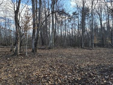 79 acres Knob Rd , Goshen, VA 24439