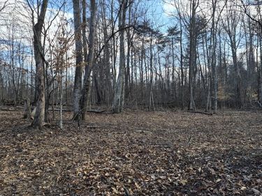 79 acres Knob Rd, Goshen, VA 24439