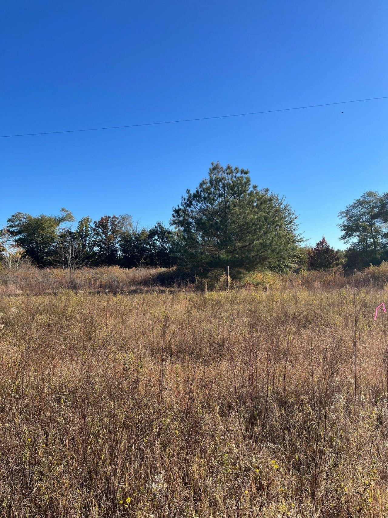 Bhl 4 Boise Cascade Photo 10