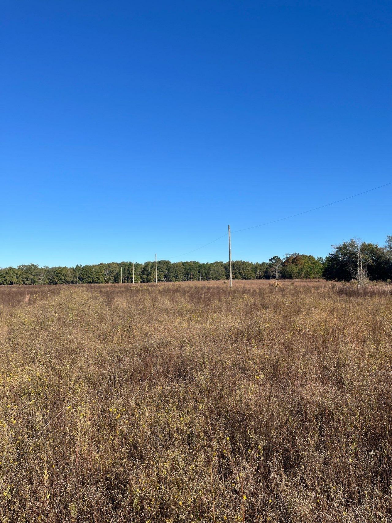 Bhl 4 Boise Cascade Photo 11