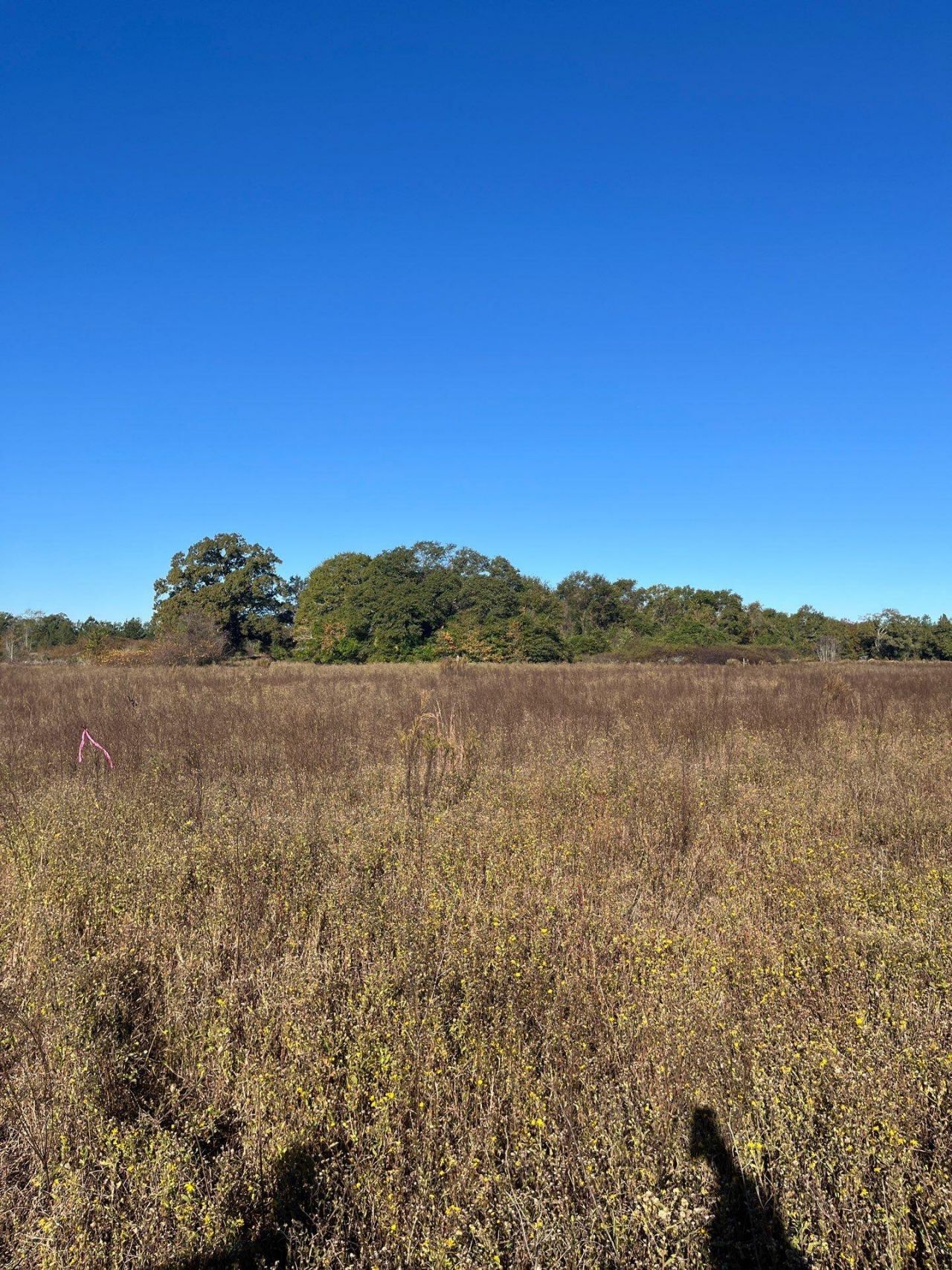 Bhl 4 Boise Cascade Photo 12