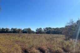 Bhl 4 Boise Cascade photo 4