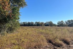 Bhl 4 Boise Cascade photo 4