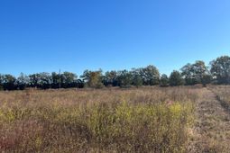 Bhl 4 Boise Cascade photo 4