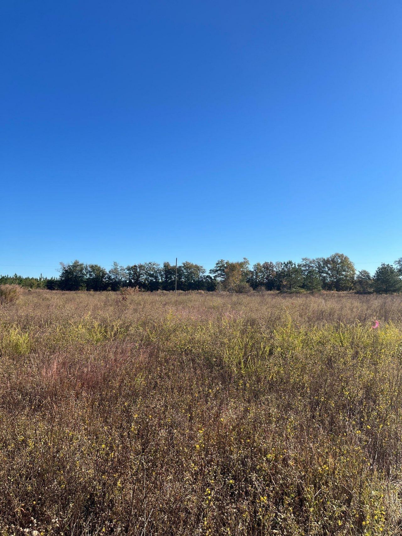 Bhl 4 Boise Cascade Photo 5