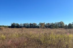 Bhl 4 Boise Cascade photo 4