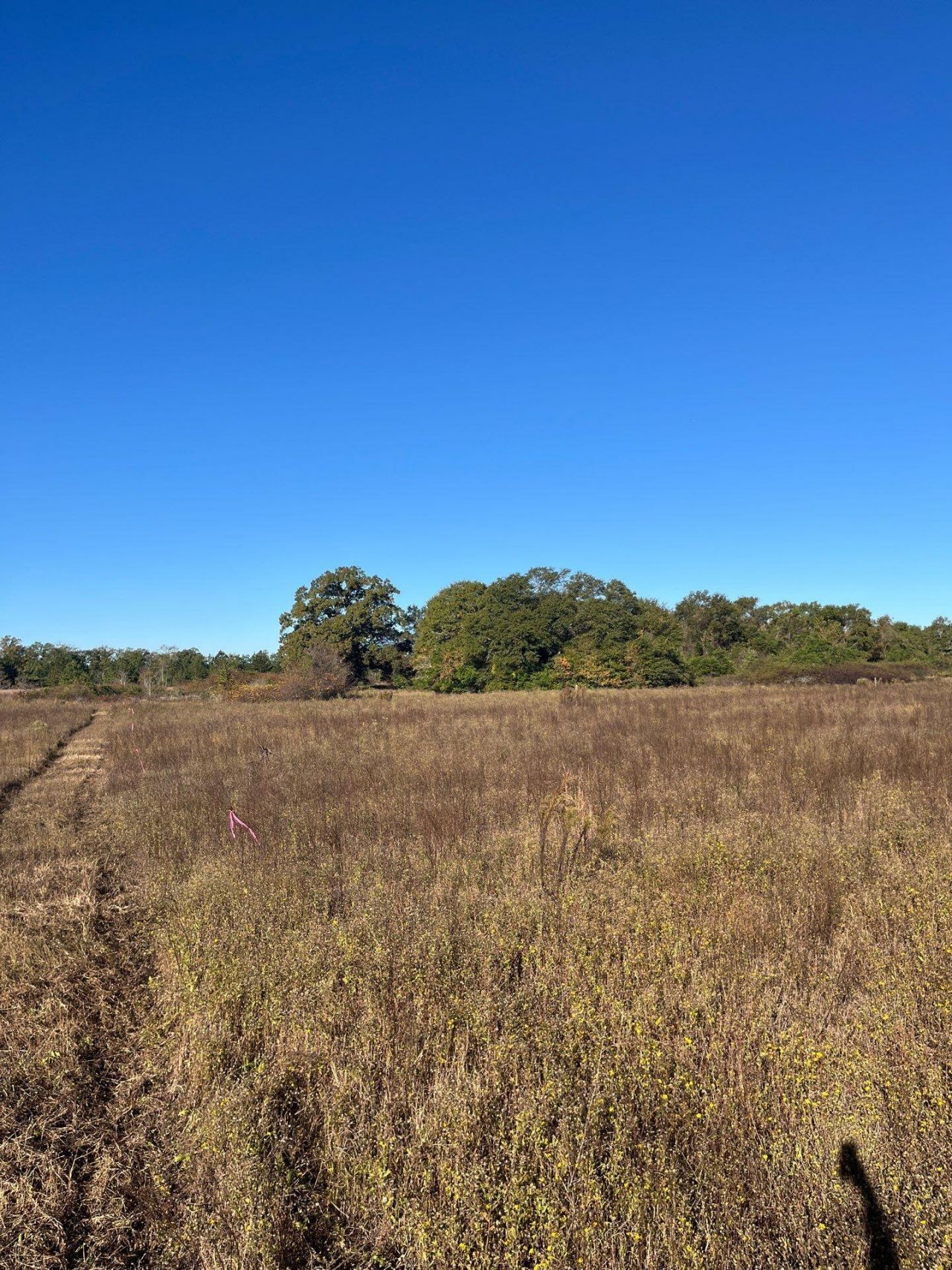 Bhl 4 Boise Cascade Photo 6