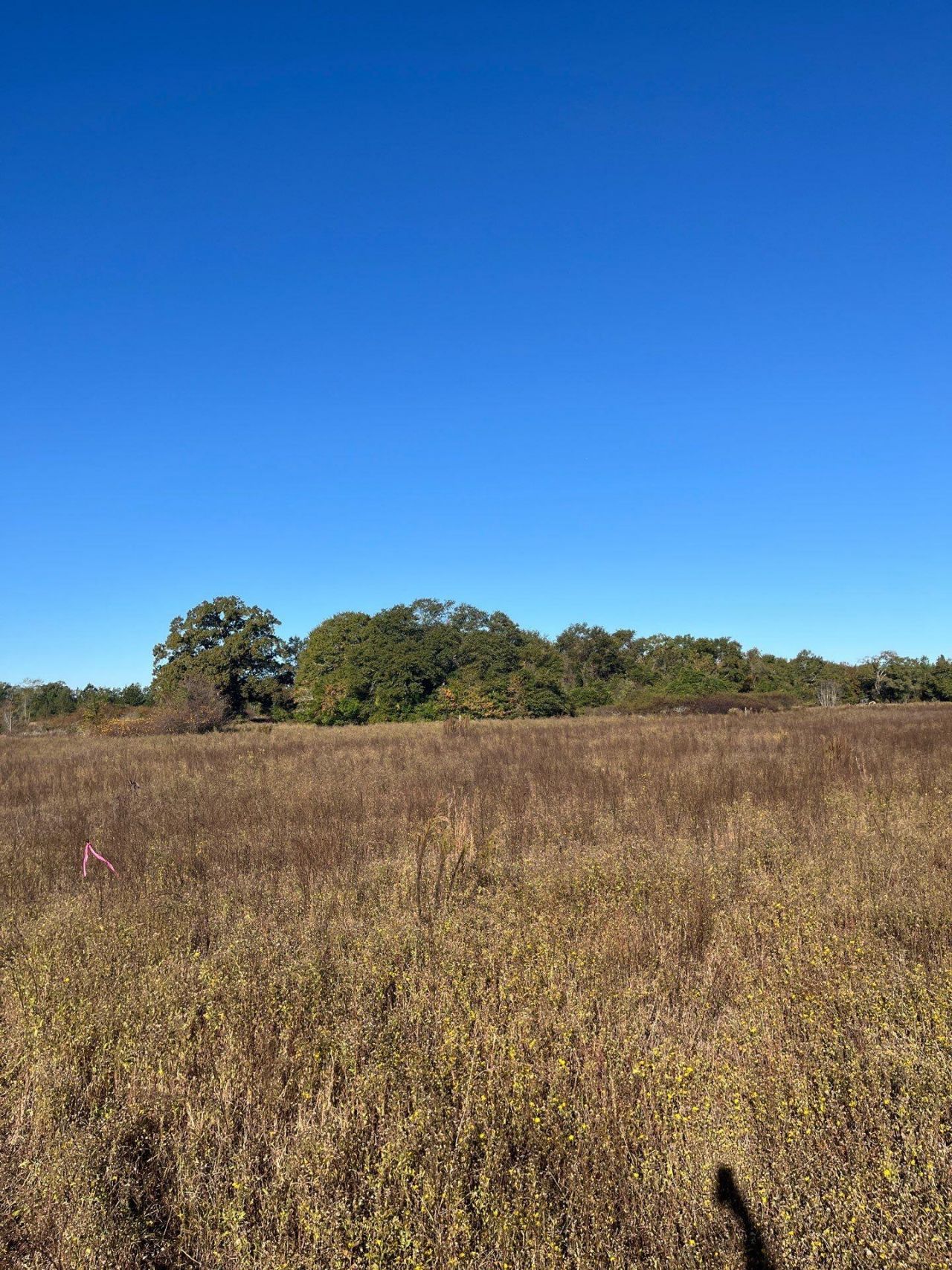 Bhl 4 Boise Cascade Photo 7