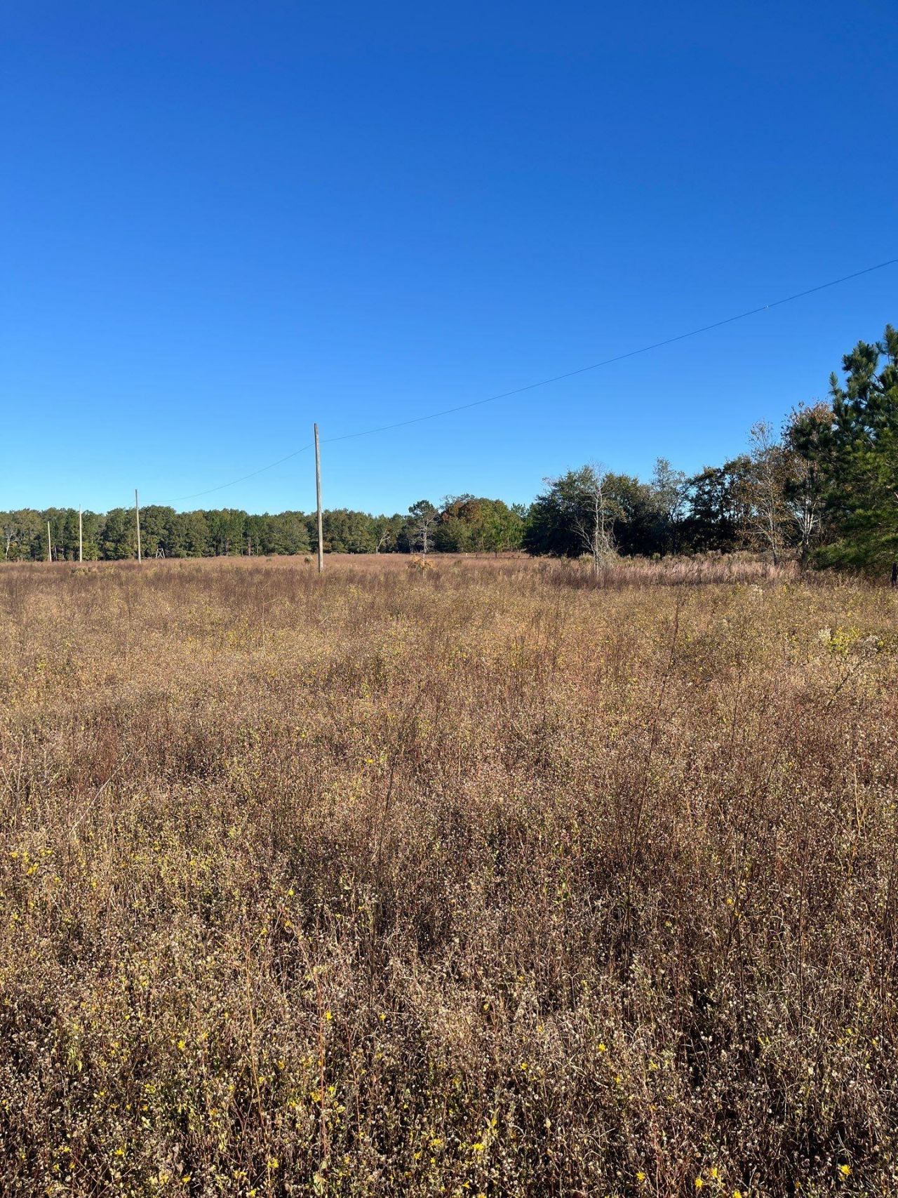 Bhl 4 Boise Cascade Photo 8