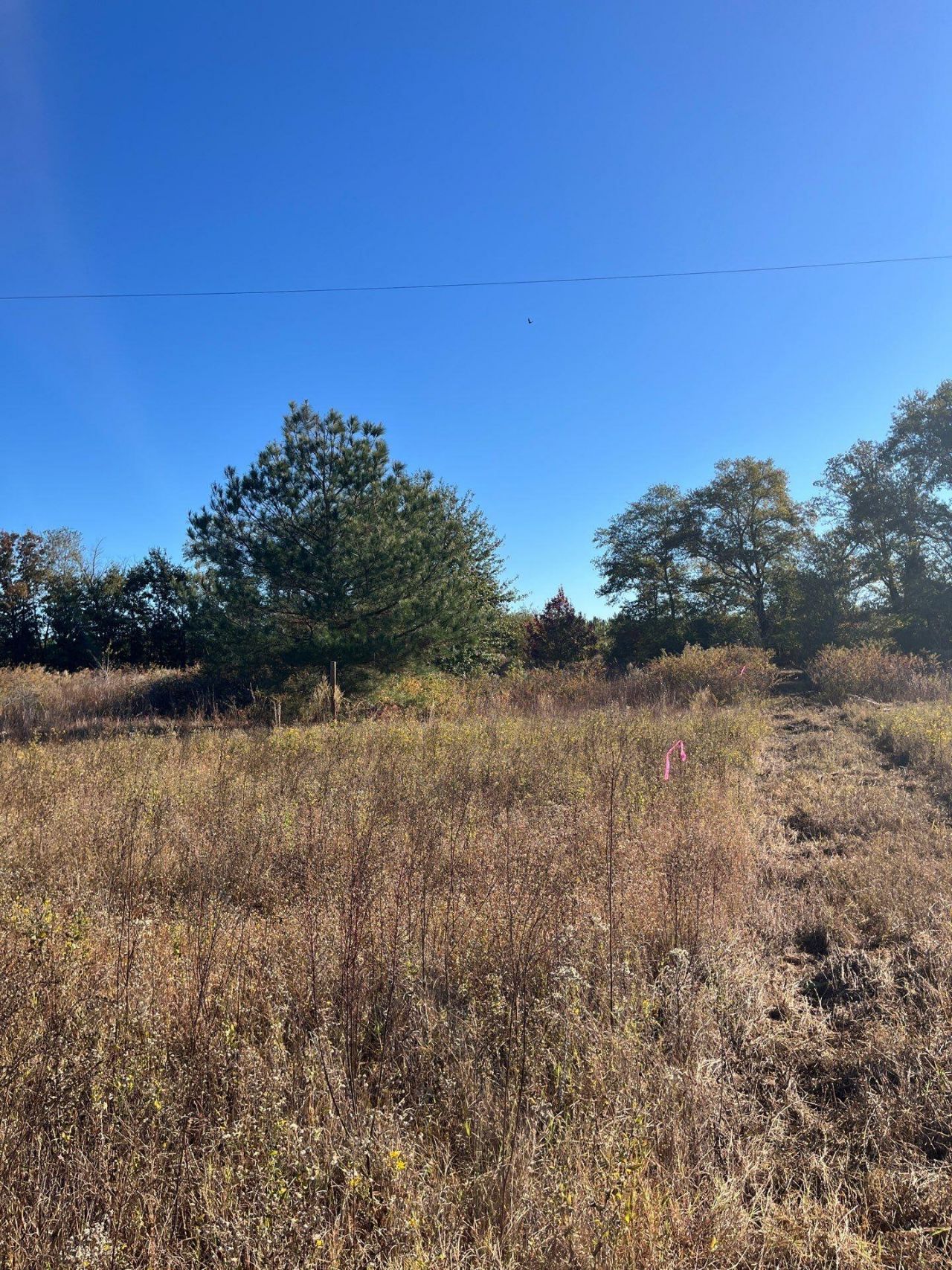 Bhl 4 Boise Cascade Photo 9