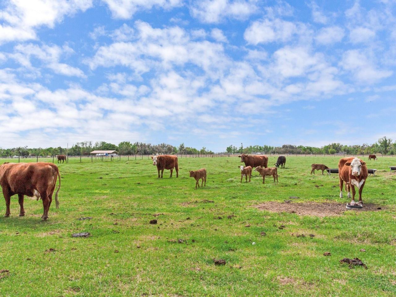 15721 Colding Loop, Wimauma, FL 33598 Photo