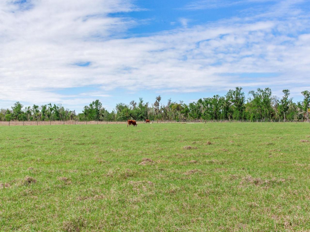 15721 Colding Loop, Wimauma, FL 33598 Photo