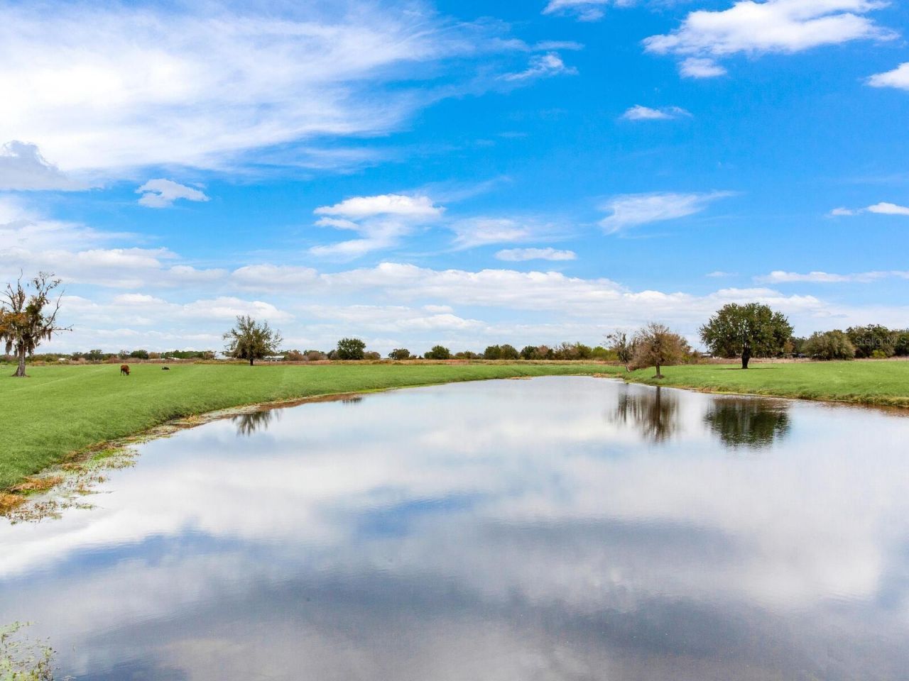 15721 Colding Loop, Wimauma, FL 33598 Photo