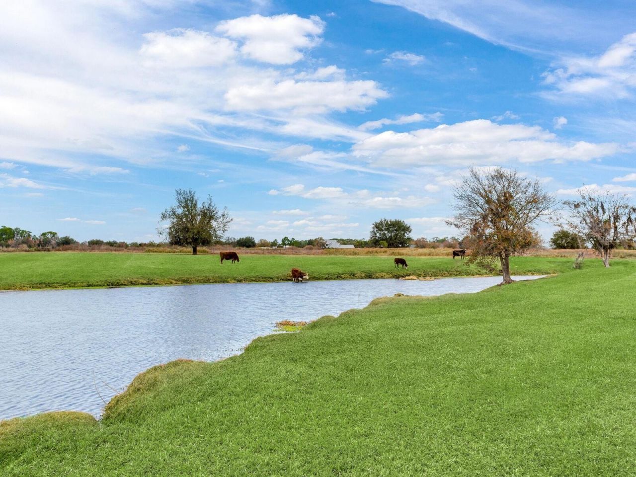 15721 Colding Loop, Wimauma, FL 33598 Photo