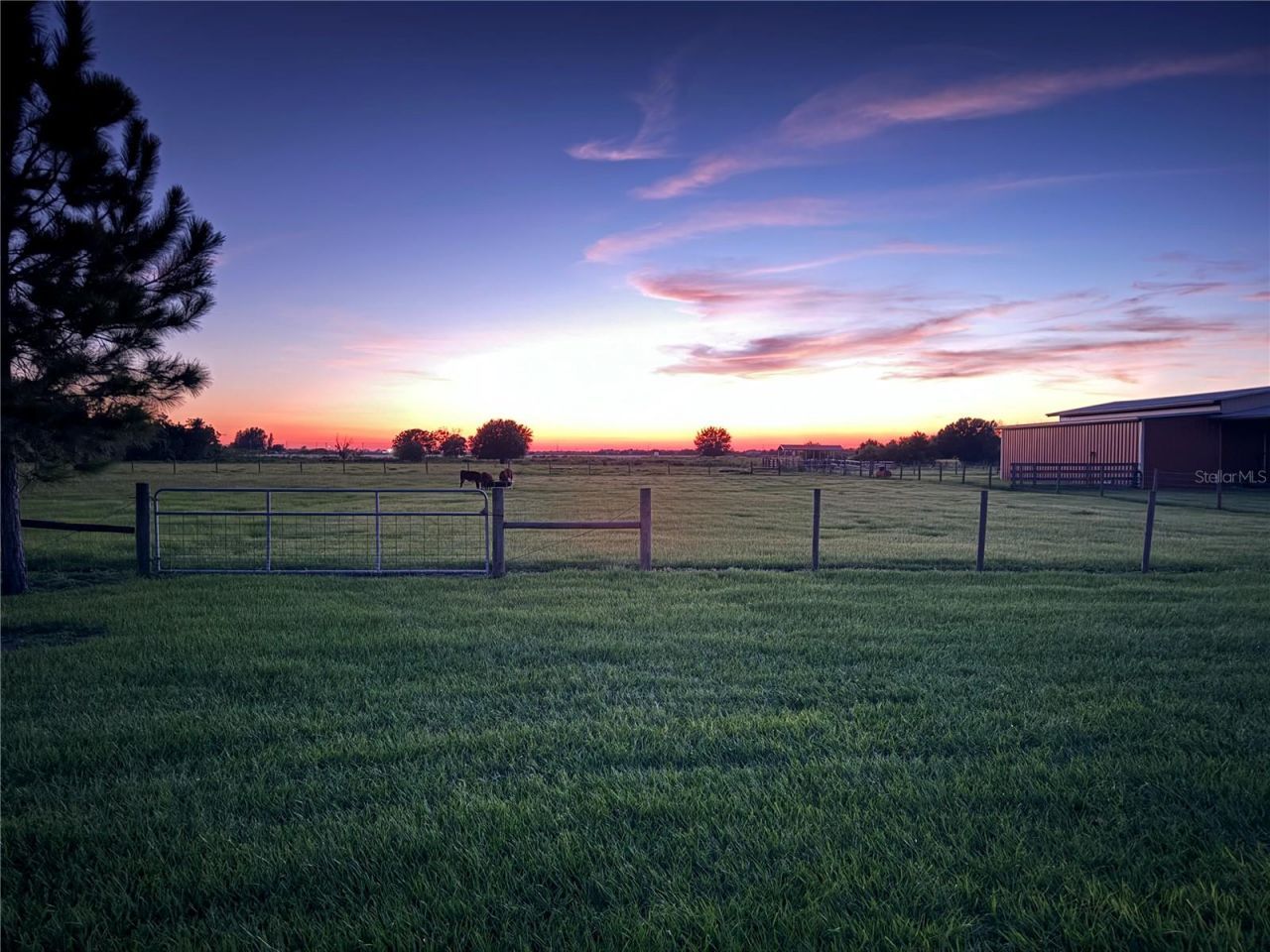 15721 Colding Loop, Wimauma, FL 33598 Photo