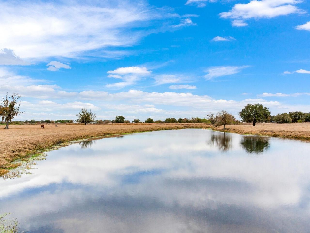 15721 Colding Loop, Wimauma, FL 33598 Photo