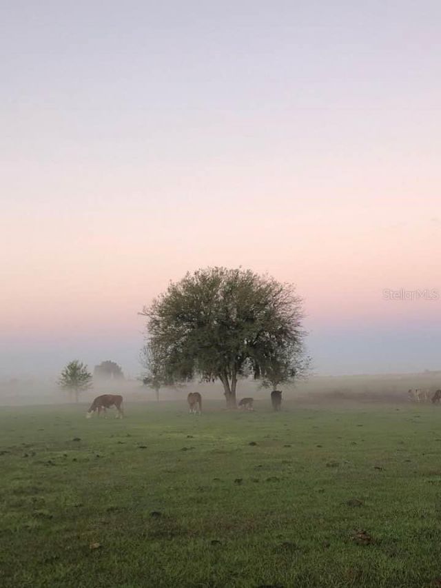 15721 Colding Loop, Wimauma, FL 33598 Photo