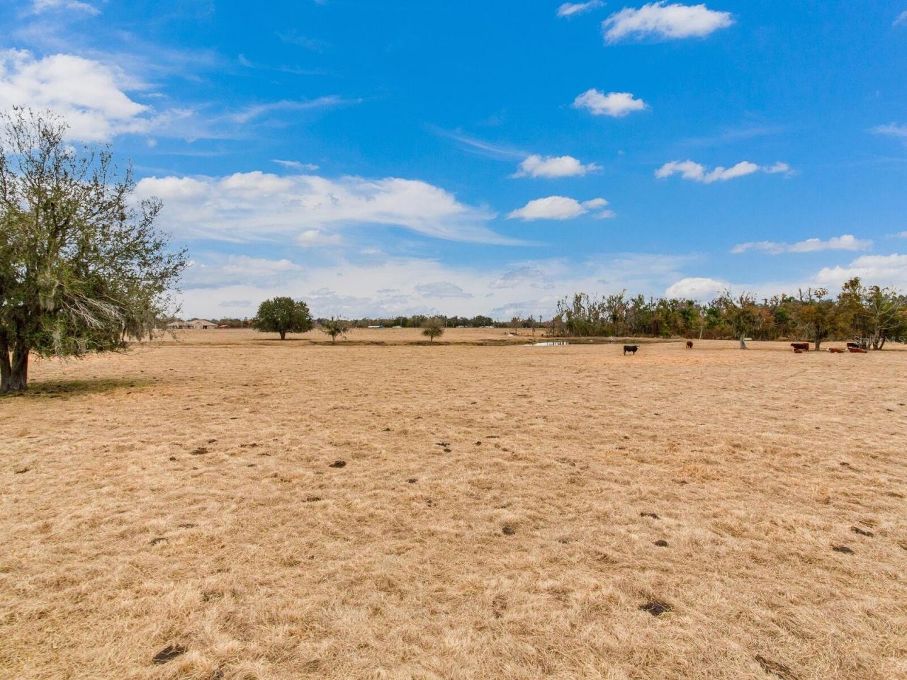 15721 Colding Loop, Wimauma, FL 33598 Photo