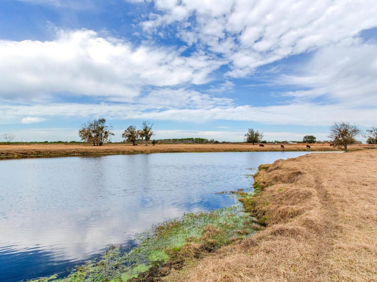 15721 Colding Loop, Wimauma, FL 33598 Photo