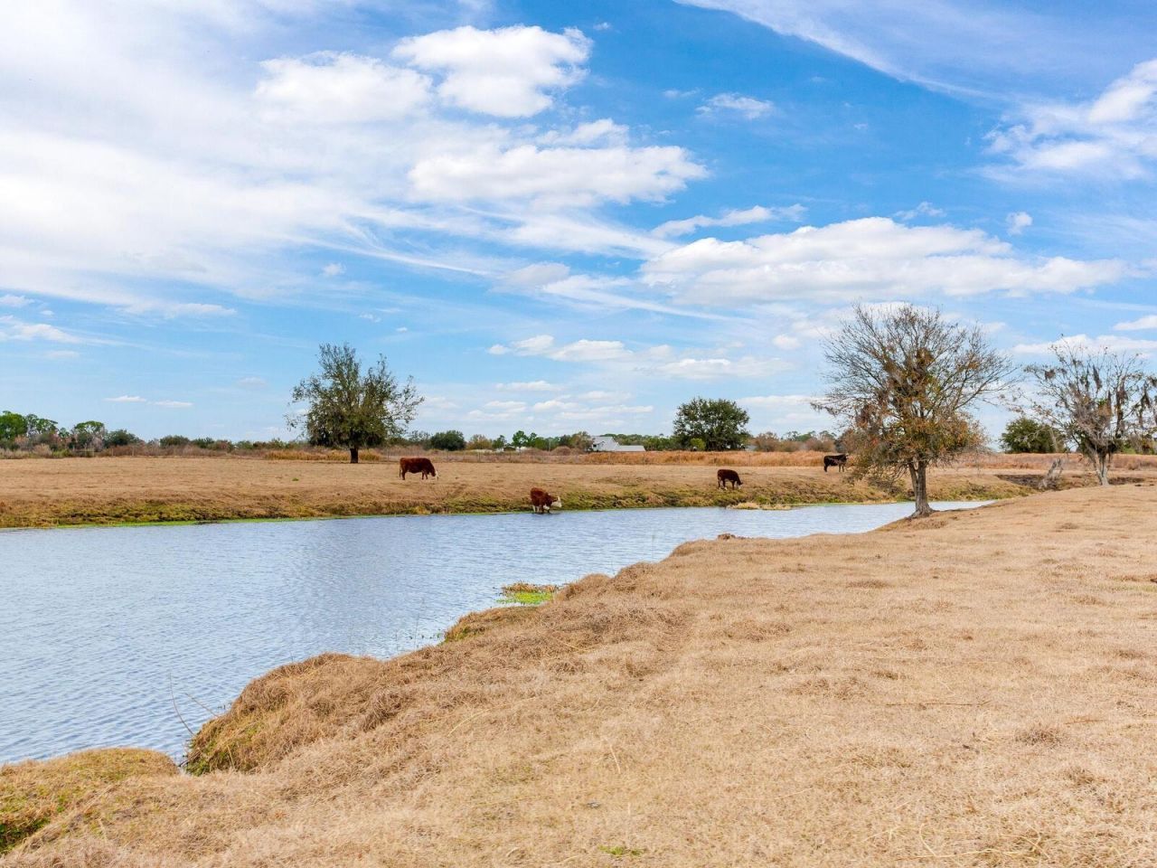 15721 Colding Loop, Wimauma, FL 33598 Photo