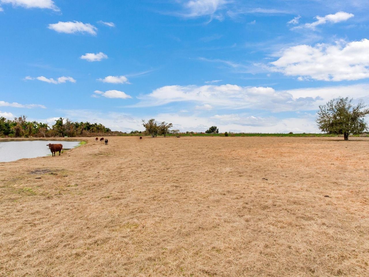 15721 Colding Loop, Wimauma, FL 33598 Photo