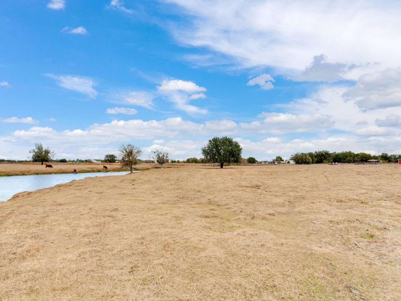 15721 Colding Loop, Wimauma, FL 33598 Photo