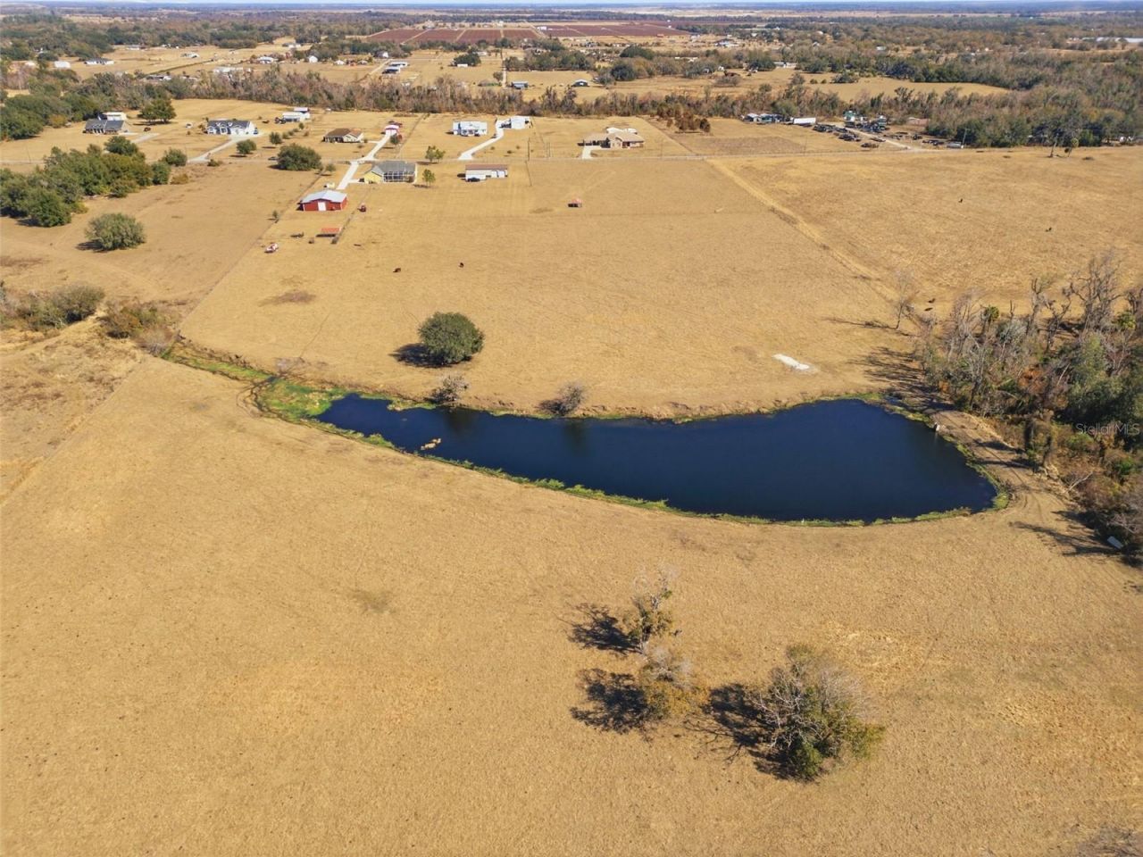 15721 Colding Loop, Wimauma, FL 33598 Photo