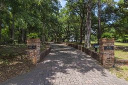 414 Greene Street  photo 4