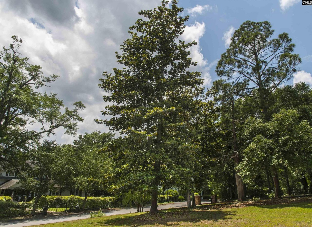 414 Greene Street  Photo 46