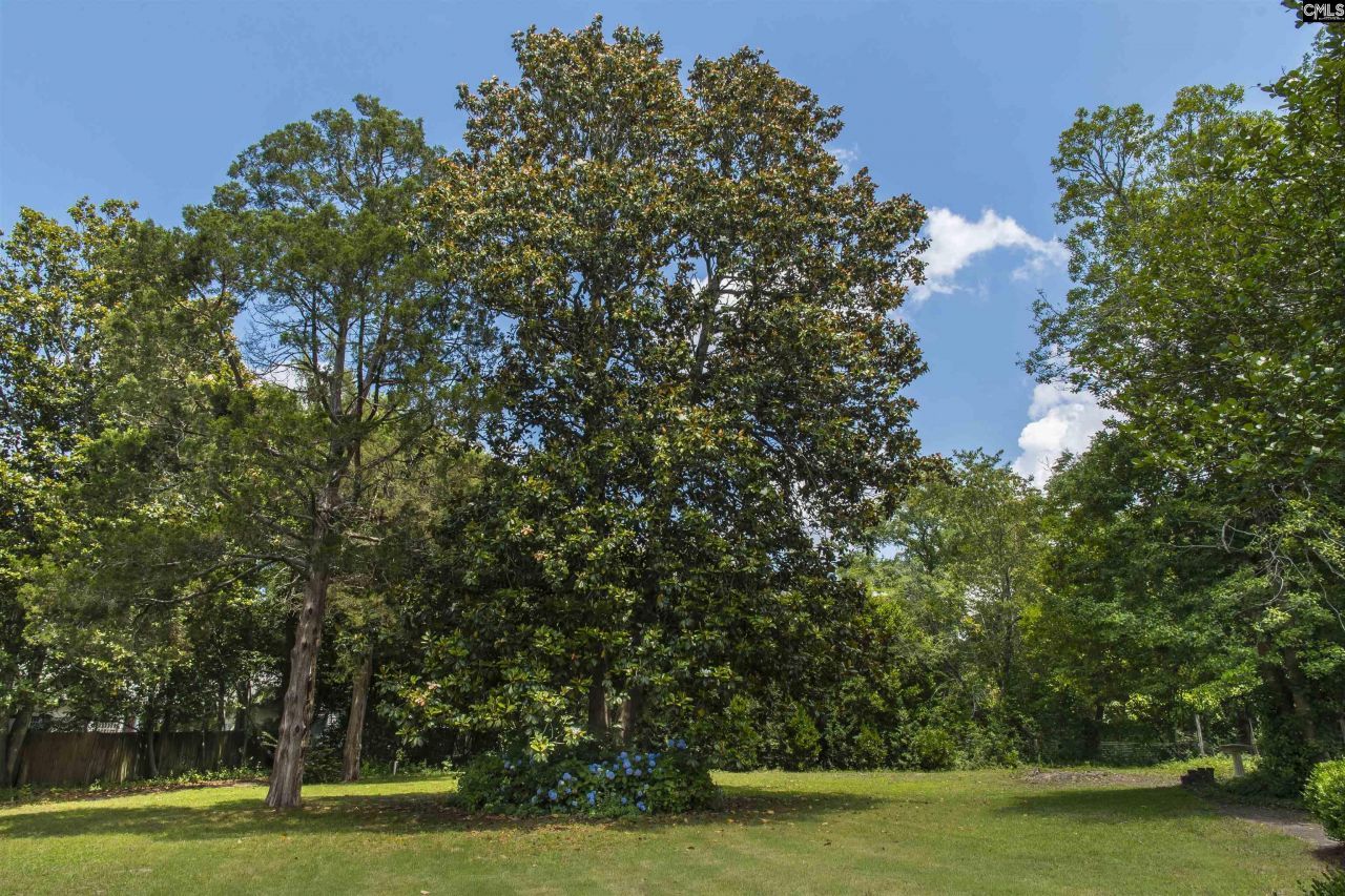 414 Greene Street  Photo 49