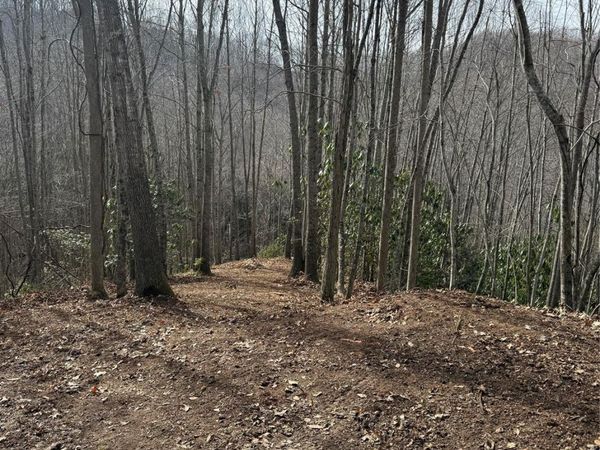 236 Down The Hill Road , Sylva, NC 28779