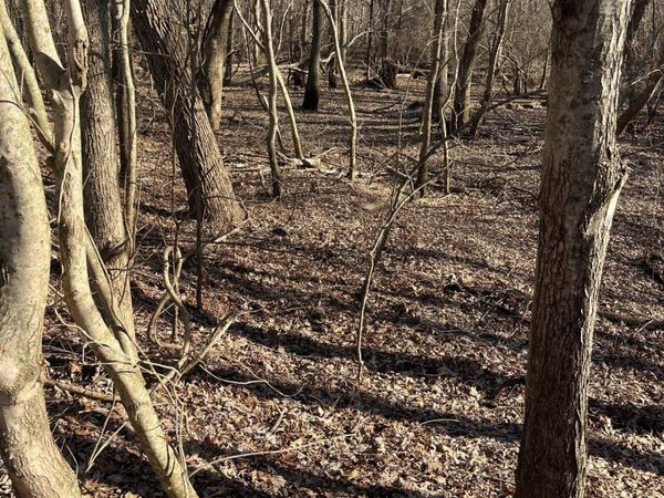 0 GREENE COUNTY AR 954 RD W, Paragould, AR 72450