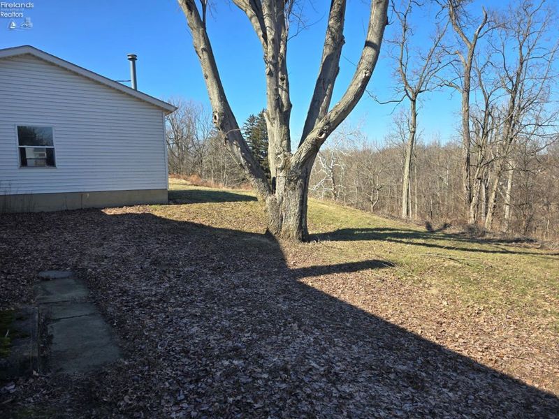 267 Milan Avenue, Amherst, OH 44001 Photo 4