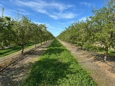 4506 S Ispen, Le Grand, CA 95333 Photo