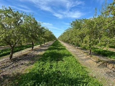 4506 S Ispen, Le Grand, CA 95333 Photo