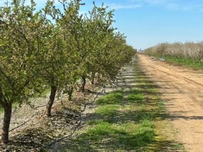 4506 S Ispen, Le Grand, CA 95333 Photo