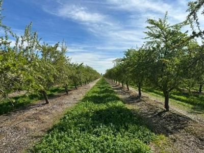 4506 S Ispen, Le Grand, CA 95333 Photo