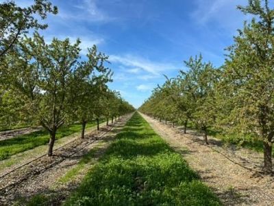 4506 S Ispen, Le Grand, CA 95333 Photo