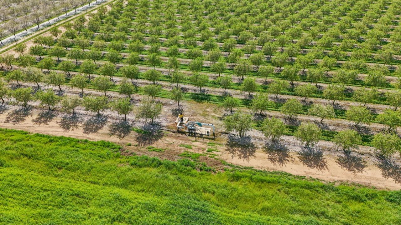 4506 S Ispen, Le Grand, CA 95333 Photo