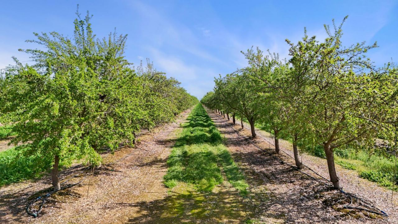 4506 S Ispen, Le Grand, CA 95333 Photo