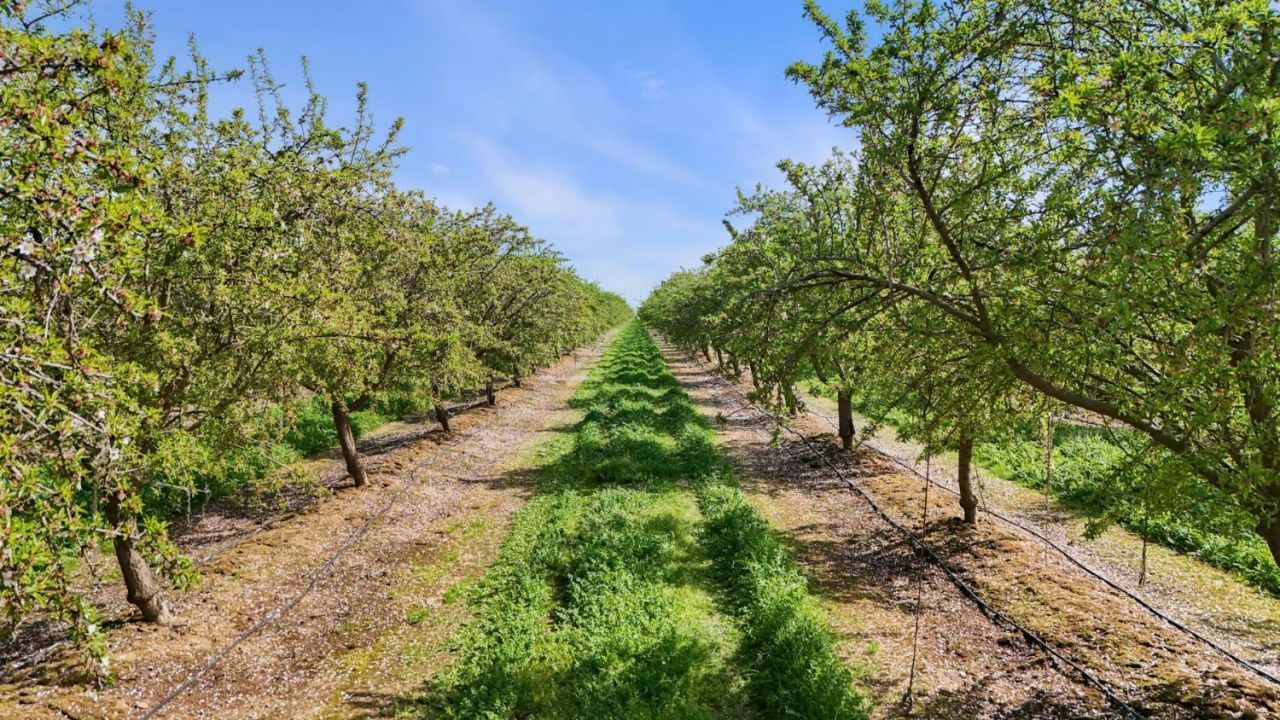 4506 S Ispen, Le Grand, CA 95333 Photo