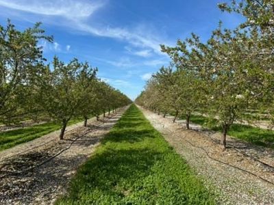 4506 S Ispen, Le Grand, CA 95333 Photo