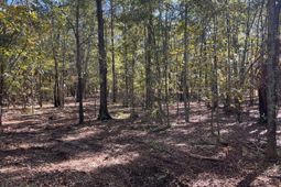 Bhl 7 Boise Cascade photo 4