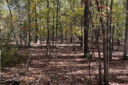 Bhl 7 Boise Cascade photo 4