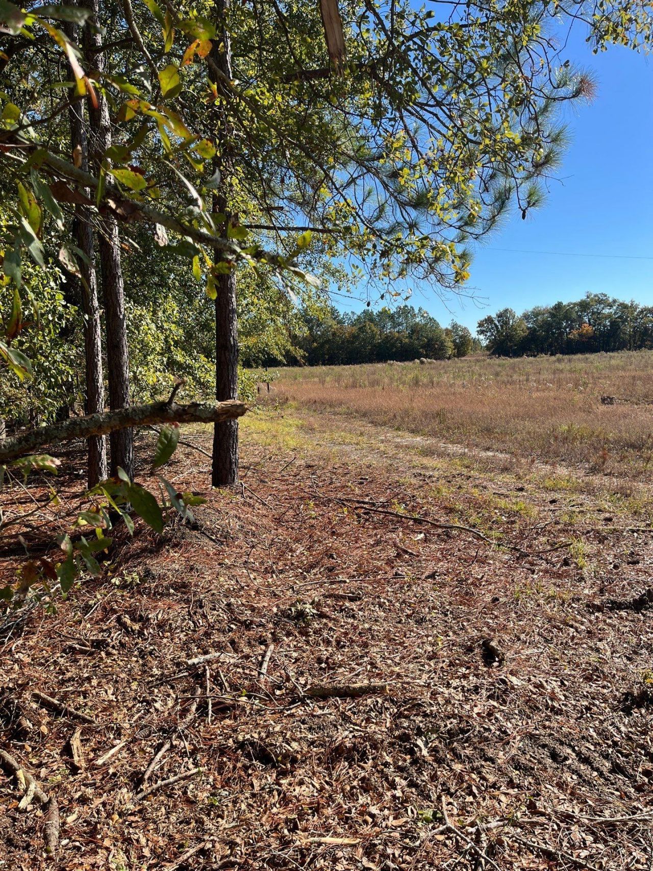 Bhl 7 Boise Cascade Photo 5